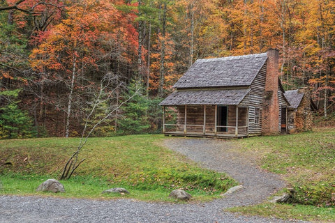 Smokies Cabin 2 (Hw) Black Ornate Wood Framed Art Print with Double Matting by Galloimages Online