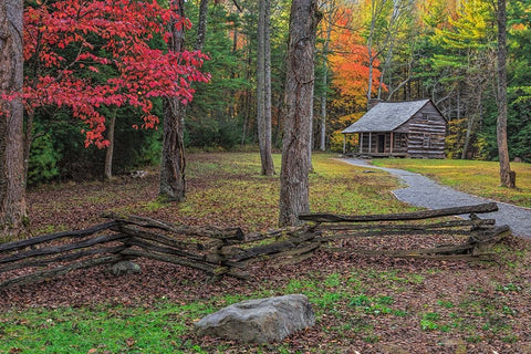 Smokies Cs Cabin White Modern Wood Framed Art Print with Double Matting by Galloimages Online