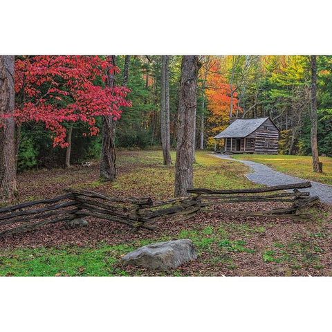 Smokies Cs Cabin White Modern Wood Framed Art Print by Galloimages Online