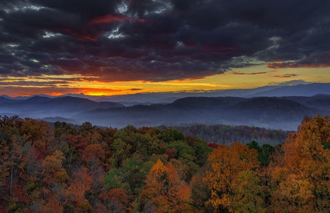 Smokies Sunrise (Oil Paint) Black Ornate Wood Framed Art Print with Double Matting by Galloimages Online