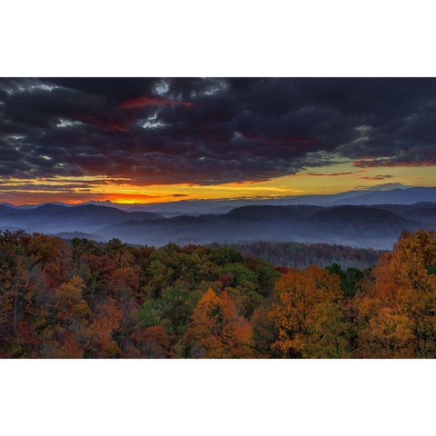 Smokies Sunrise (Oil Paint) Gold Ornate Wood Framed Art Print with Double Matting by Galloimages Online
