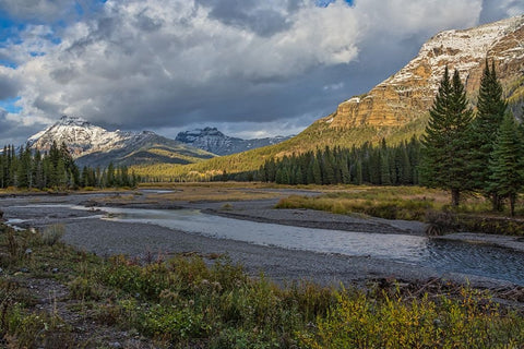 Soda Butte Creek Scenery (Yellowstone) Black Ornate Wood Framed Art Print with Double Matting by Galloimages Online
