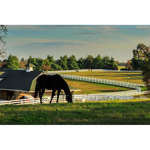 Sunset On The Farm White Modern Wood Framed Art Print by Galloimages Online