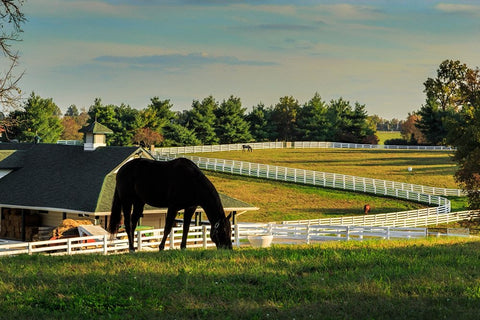 Sunset On The Farm Black Ornate Wood Framed Art Print with Double Matting by Galloimages Online