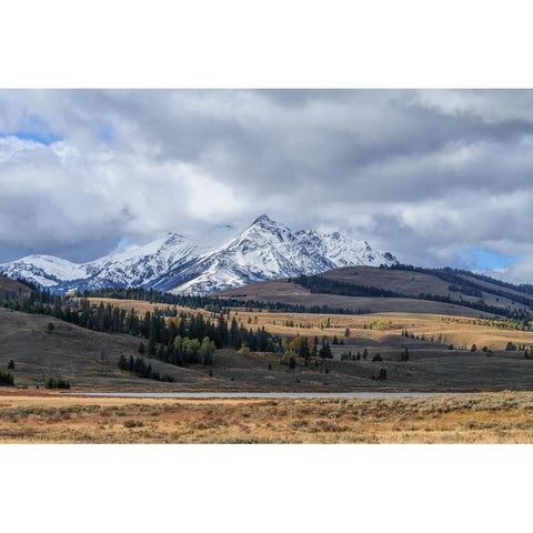 Swan Lake And Electric Peak Black Modern Wood Framed Art Print by Galloimages Online