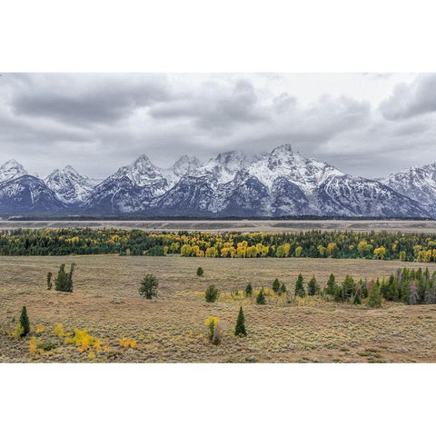 Teton Fall Colors Gold Ornate Wood Framed Art Print with Double Matting by Galloimages Online