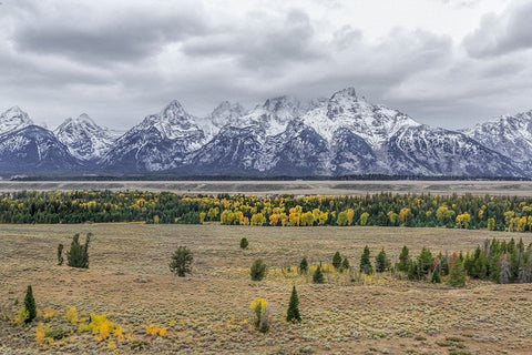 Teton Fall Colors Black Ornate Wood Framed Art Print with Double Matting by Galloimages Online