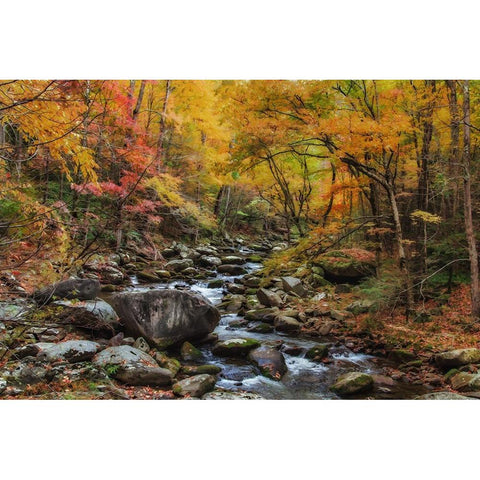 Tremont Stream Watercolor Black Modern Wood Framed Art Print with Double Matting by Galloimages Online