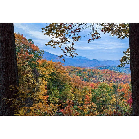 Window To The Smoky Mountains Gold Ornate Wood Framed Art Print with Double Matting by Galloimages Online