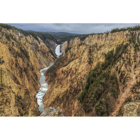 Yellowstone Grand Canyon - Lower Falls White Modern Wood Framed Art Print by Galloimages Online