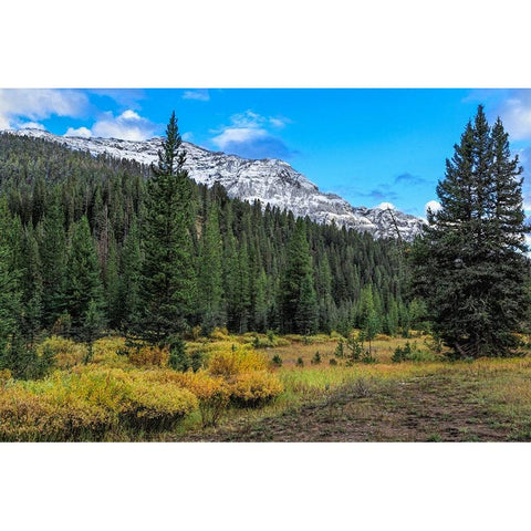 Yellowstone Sbc Landscape Gold Ornate Wood Framed Art Print with Double Matting by Galloimages Online