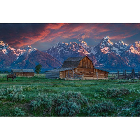 Grand Teton Mormon Barn At Sunrise Black Modern Wood Framed Art Print with Double Matting by Galloimages Online