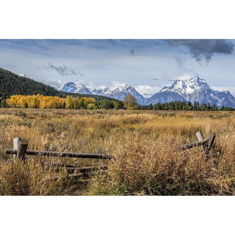 GTNP Scene Mt. Moran Black Modern Wood Framed Art Print by Galloimages Online