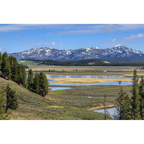 Hayden Valley (YNP) Black Modern Wood Framed Art Print by Galloimages Online
