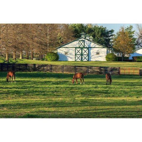 Horse Farm Landscape Gold Ornate Wood Framed Art Print with Double Matting by Galloimages Online