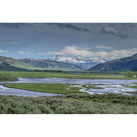 Lamar Valley (YNP) Black Modern Wood Framed Art Print with Double Matting by Galloimages Online