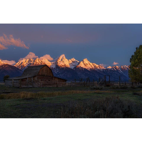 Moulton Barn At Sunrise White Modern Wood Framed Art Print by Galloimages Online