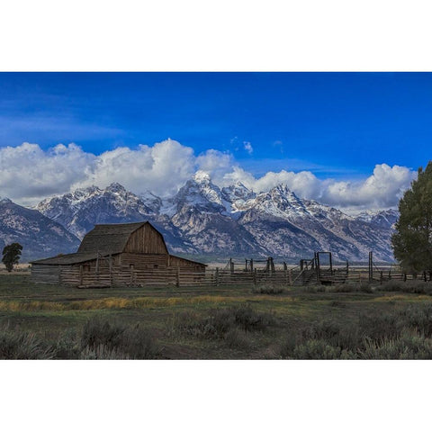 Moulton Barn Gold Ornate Wood Framed Art Print with Double Matting by Galloimages Online