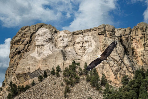 Mount Rushmore And Eagle White Modern Wood Framed Art Print with Double Matting by Galloimages Online