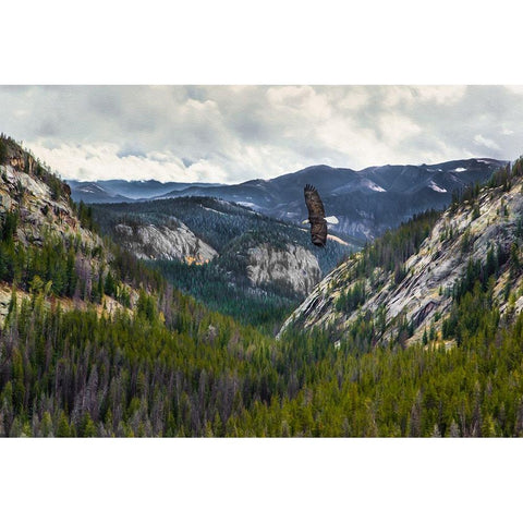 Mountains With Eagle Black Modern Wood Framed Art Print with Double Matting by Galloimages Online