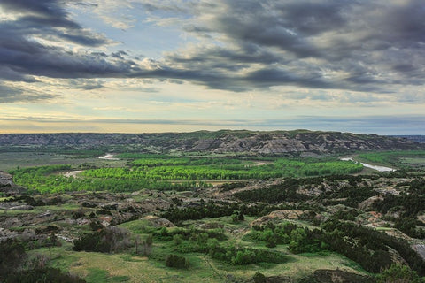 Oxbow Overlook (TRNP) White Modern Wood Framed Art Print with Double Matting by Galloimages Online