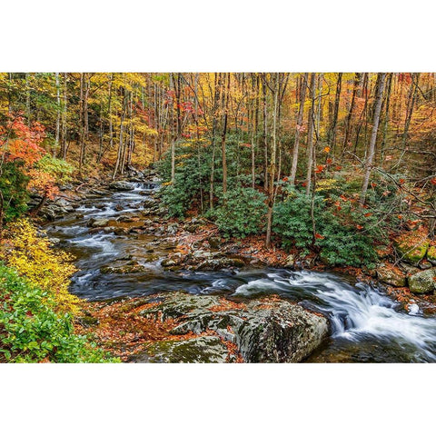 Tremont Stream White Modern Wood Framed Art Print by Galloimages Online