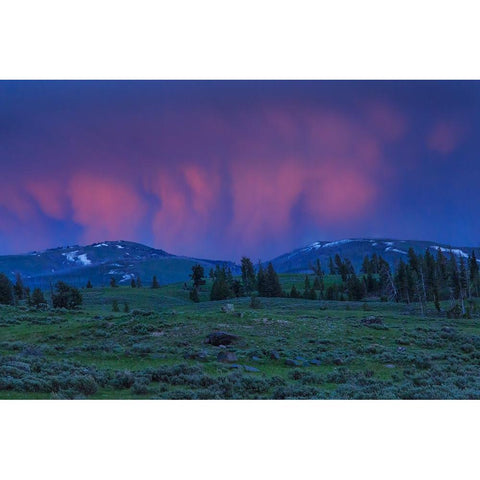 YNP Sunset Gold Ornate Wood Framed Art Print with Double Matting by Galloimages Online