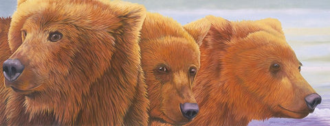 Alaska Coming 2 Black Ornate Wood Framed Art Print with Double Matting by Stevenson, Graeme
