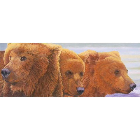 Alaska Coming 2 Black Modern Wood Framed Art Print with Double Matting by Stevenson, Graeme