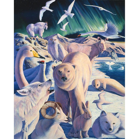 Arctic Mysteries White Modern Wood Framed Art Print by Stevenson, Graeme