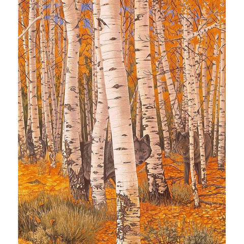 Autumn Eyes Black Modern Wood Framed Art Print with Double Matting by Stevenson, Graeme