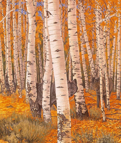 Autumn Eyes Black Ornate Wood Framed Art Print with Double Matting by Stevenson, Graeme