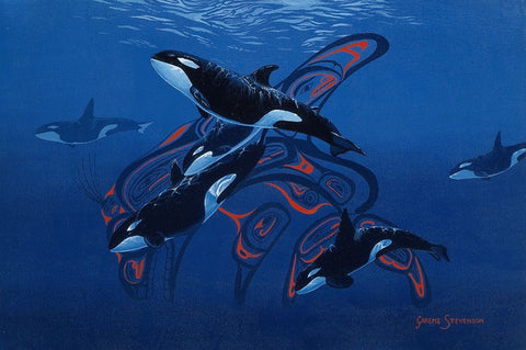 Blue Orcas White Modern Wood Framed Art Print with Double Matting by Stevenson, Graeme