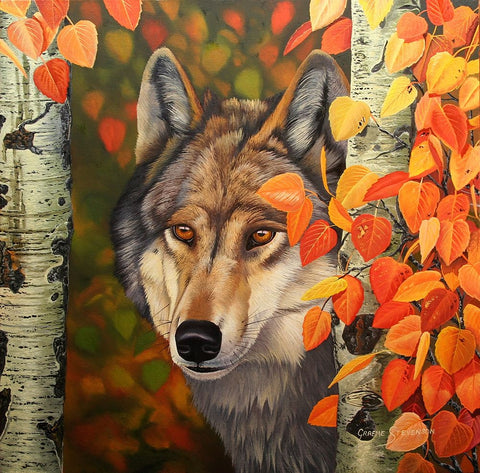 Colours Of The Wolf White Modern Wood Framed Art Print with Double Matting by Stevenson, Graeme