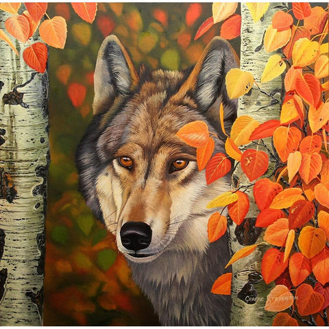 Colours Of The Wolf Gold Ornate Wood Framed Art Print with Double Matting by Stevenson, Graeme