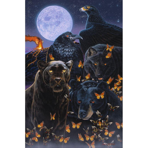 Ebony Black Modern Wood Framed Art Print by Stevenson, Graeme