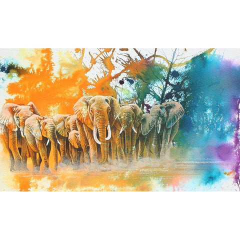 Elephant Tribe White Modern Wood Framed Art Print by Stevenson, Graeme