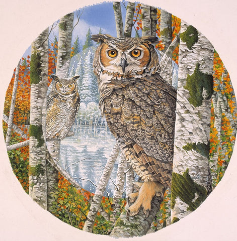 Great Horned Camoflage Black Ornate Wood Framed Art Print with Double Matting by Stevenson, Graeme