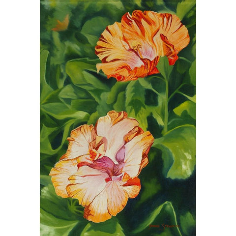 Hibiscus 2 Black Modern Wood Framed Art Print with Double Matting by Stevenson, Graeme