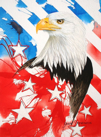 Liberty 2 White Modern Wood Framed Art Print with Double Matting by Stevenson, Graeme