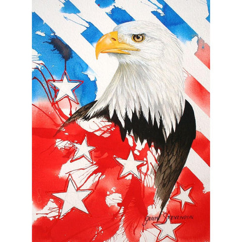 Liberty 2 Black Modern Wood Framed Art Print by Stevenson, Graeme