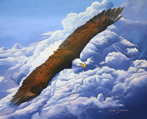 Lifted To The Sky White Modern Wood Framed Art Print with Double Matting by Stevenson, Graeme