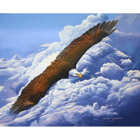 Lifted To The Sky Black Modern Wood Framed Art Print by Stevenson, Graeme