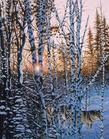 Lupus Dawn White Modern Wood Framed Art Print with Double Matting by Stevenson, Graeme