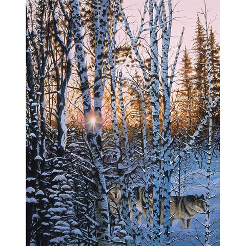 Lupus Dawn White Modern Wood Framed Art Print by Stevenson, Graeme