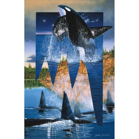 Orca Reflections Black Modern Wood Framed Art Print with Double Matting by Stevenson, Graeme
