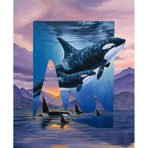 Orca Song White Modern Wood Framed Art Print by Stevenson, Graeme