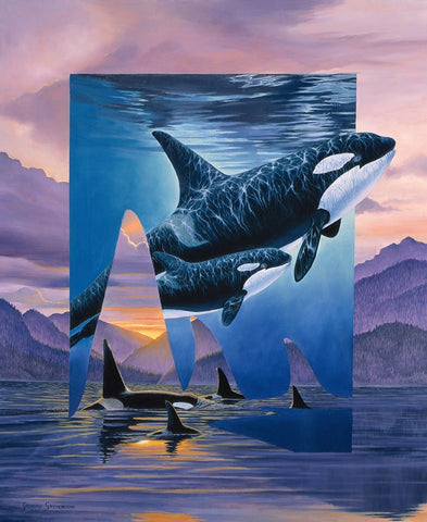 Orca Song White Modern Wood Framed Art Print with Double Matting by Stevenson, Graeme