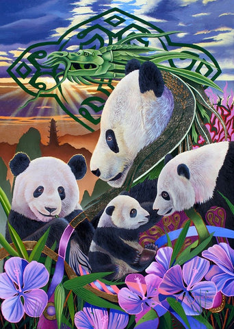 Panda Play White Modern Wood Framed Art Print with Double Matting by Stevenson, Graeme