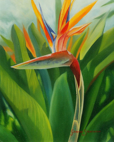 Paradise 2 White Modern Wood Framed Art Print with Double Matting by Stevenson, Graeme